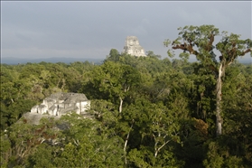 Tikal UNESCO